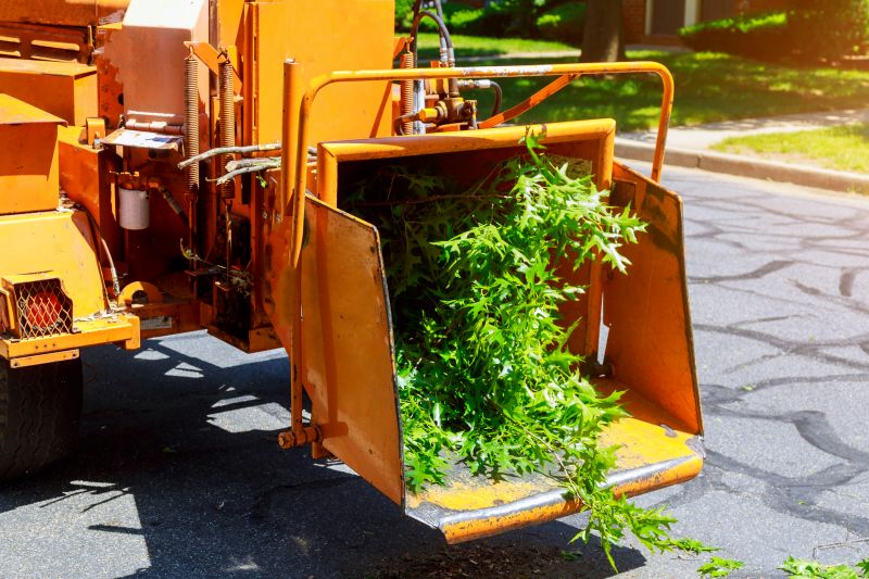 Tree Fertilization Service