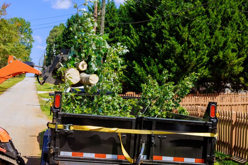 Tree Fertilization Service
