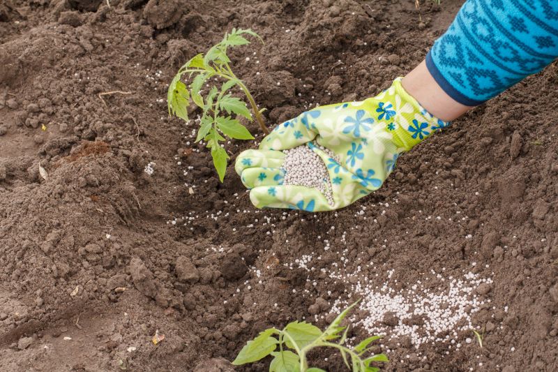 Spring Fertilization