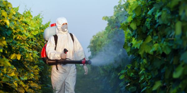 Integrated Pest Management